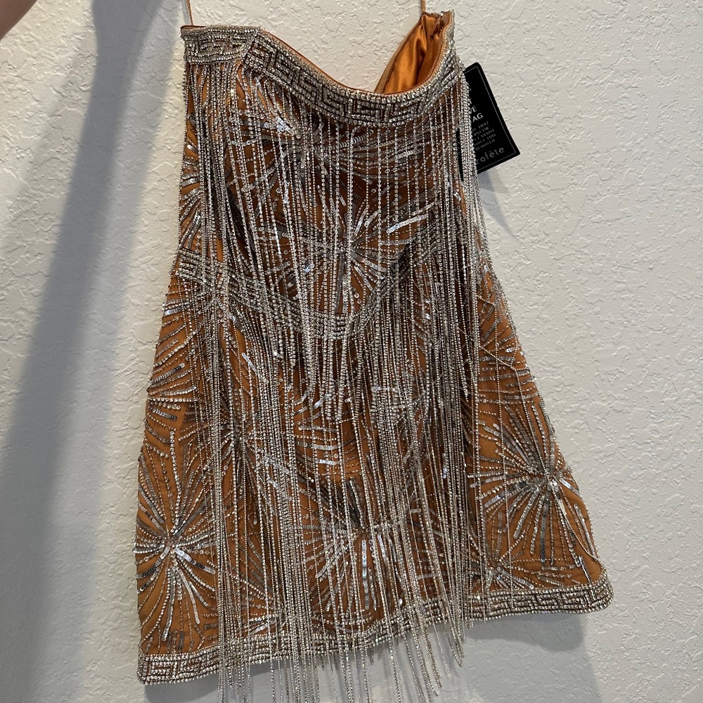 Retrofete Dixie Sequin Fringe Dress